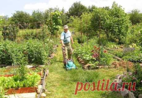 (14) Одноклассники