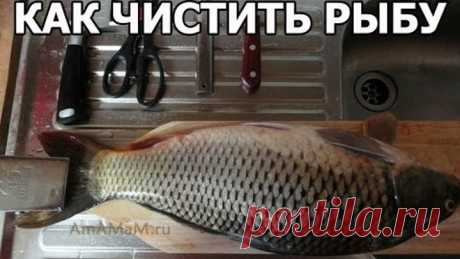 Ну ё-моё, оказывается я всю жизнь не правильно ЧИСТИЛА РЫБУ