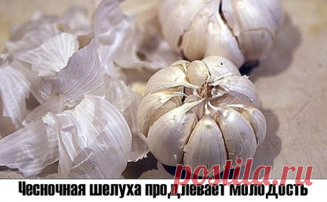 Чесночная шелуха продлевает молодость.
Белую шелуху от чеснока не выбрасывайте когда вы его чистите. А собирайте её и храните. Это ценнейшее средство для продления молодости. Для этого каждый месяц надо пить напиток, приготовленный из белой шелухи чеснока. Этот напиток очень прост в приготовлении: надо взять горсть шелухи белого чеснока и залить её стаканом кипятка. После того, как чайник вскипит, надо подождать от 1 до 3 минут, и только потом залить водой шелуху. Пить цел...