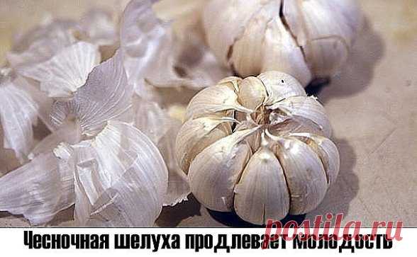 Чесночная шелуха продлевает молодость.
Белую шелуху от чеснока не выбрасывайте когда вы его чистите. А собирайте её и храните. Это ценнейшее средство для продления молодости. Для этого каждый месяц надо пить напиток, приготовленный из белой шелухи чеснока. Этот напиток очень прост в приготовлении: надо взять горсть шелухи белого чеснока и залить её стаканом кипятка. После того, как чайник вскипит, надо подождать от 1 до 3 минут, и только потом залить водой шелуху. Пить цел...