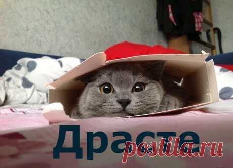 (1) Facebook