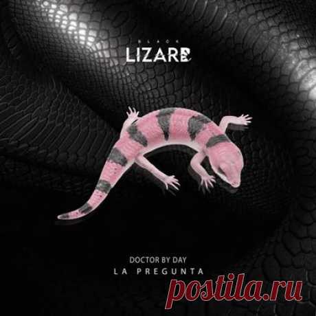 Doctor by Day – La Pregunta