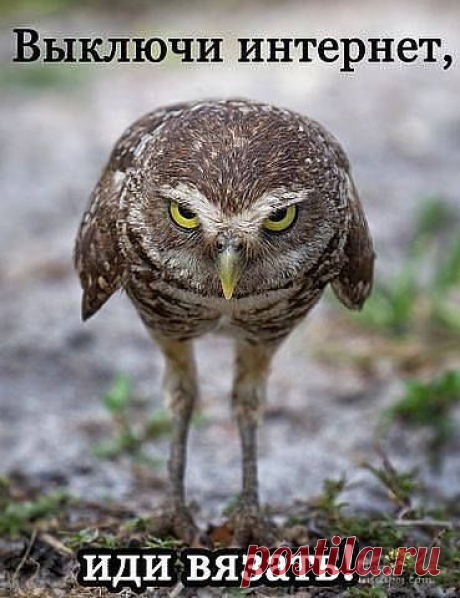 Found on green-dormouse.livejournal.com