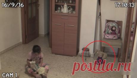 "Ожившая" кукла в детской комнате: Реальный полтергейст или подделка?