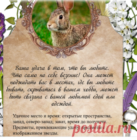 Новая запись