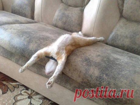 Один домааа, наконец-то..))))))