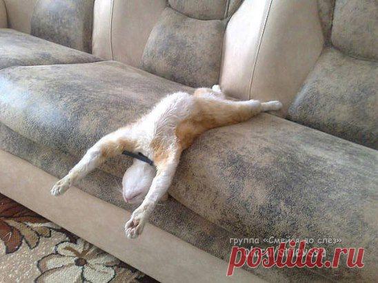 Один домааа, наконец-то..))))))