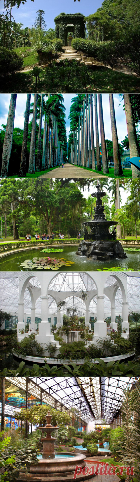 Ботанический сад в Рио-де-Жанейро