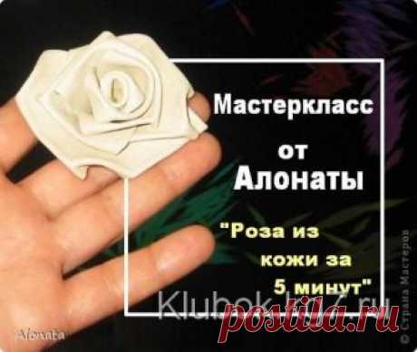 Роза