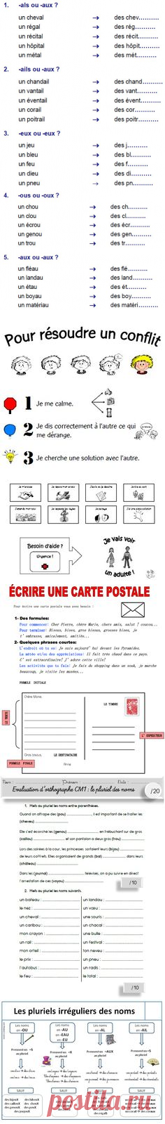 (1) le pluriel des noms, exercice | Cours Français