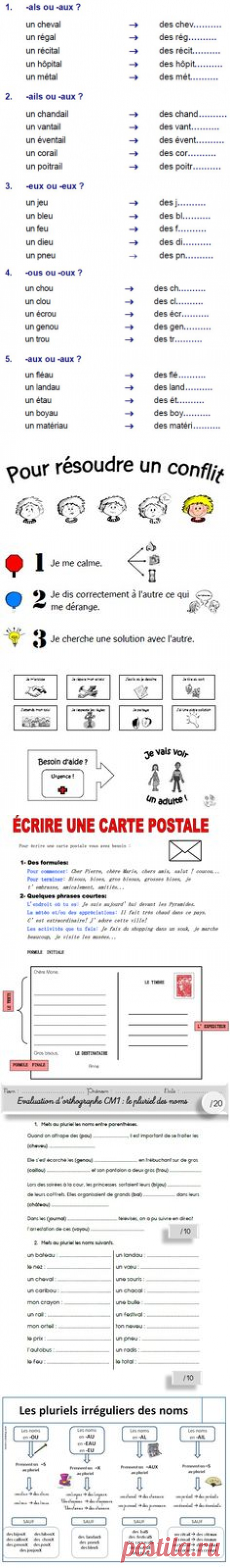 (1) le pluriel des noms, exercice | Cours Français