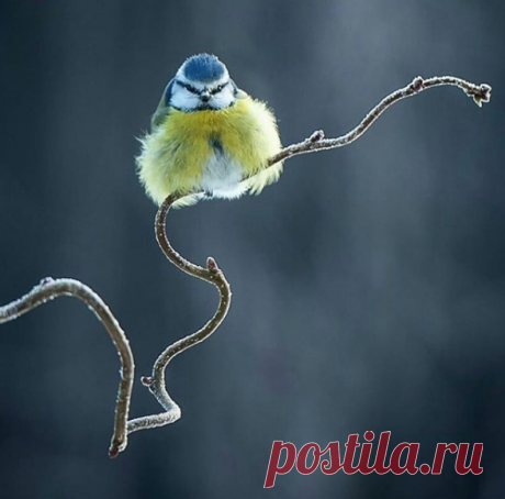 Баланс. Придумайте свою подпись к фото! Пишите в комментариях