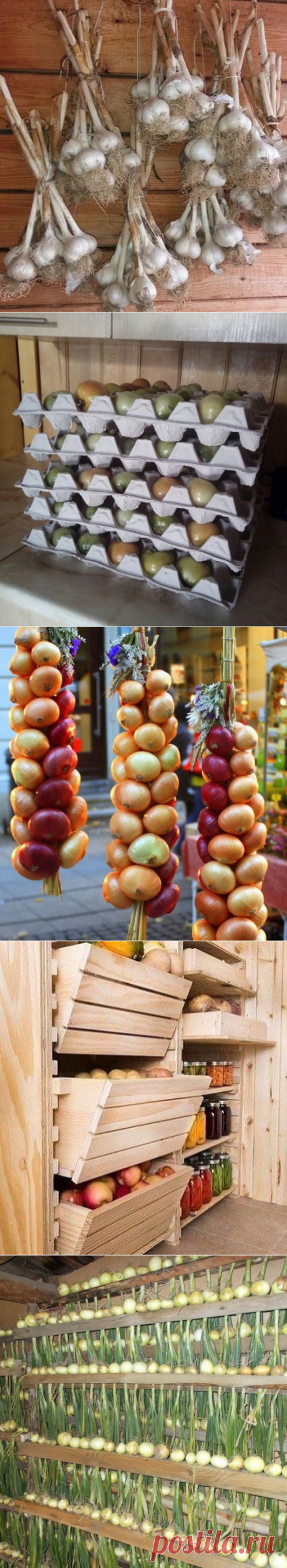 Красивое и удобное хранение урожая. 