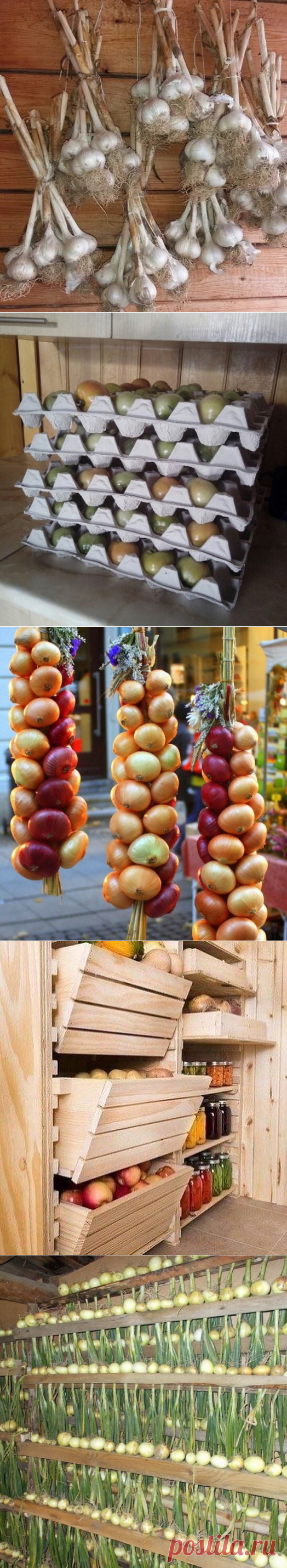 Красивое и удобное хранение урожая. 