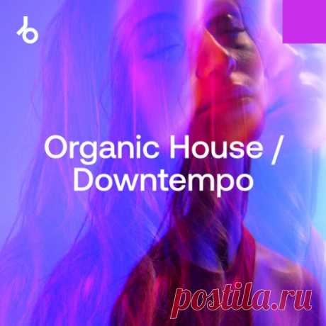 Beatport After Hours Essentials 2025 Organic House FLAC » MinimalFreaks.co