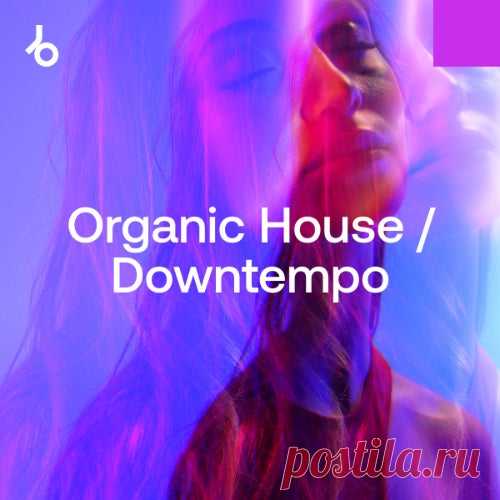 Beatport After Hours Essentials 2025 Organic House FLAC » MinimalFreaks.co