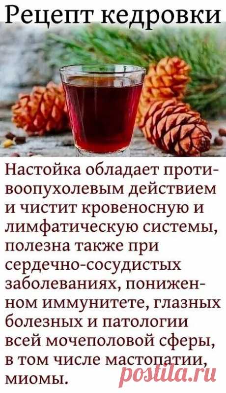 Рецепт кедровки