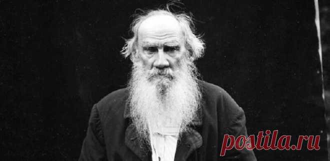 25 САМЫХ ЯРКИХ ЦИТАТ ЛЬВА ТОЛСТОГО — Жизнь под Лампой!