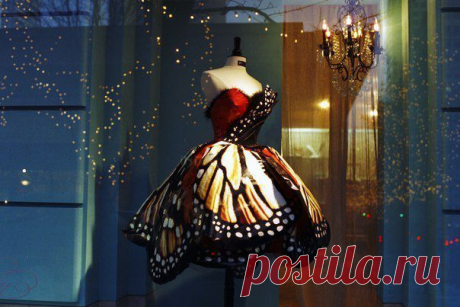 Фотографии на стене сообщества | 32 767 фотографий | ВКонтакте
