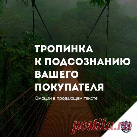 Эмоции в продающем тексте | Convertmonster
Вот такие эмоции: Это не &quot;продающие тексты&quot;, а словоблудие. Любого человека стошнит от примеров, и от изложения темы.
