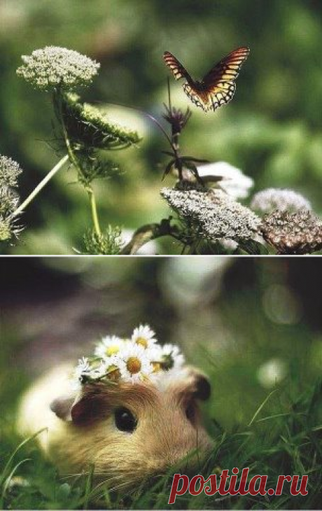 Не засоряйте свою память обидами, а то там может просто не остаться места для прекрасных мгновений.

(Ф.М. Достоевский)