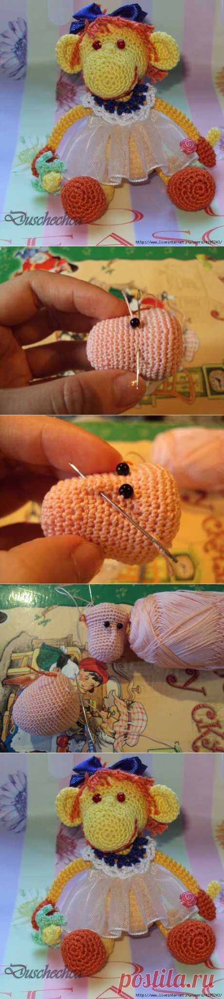 Мартышка Наташка. Описание