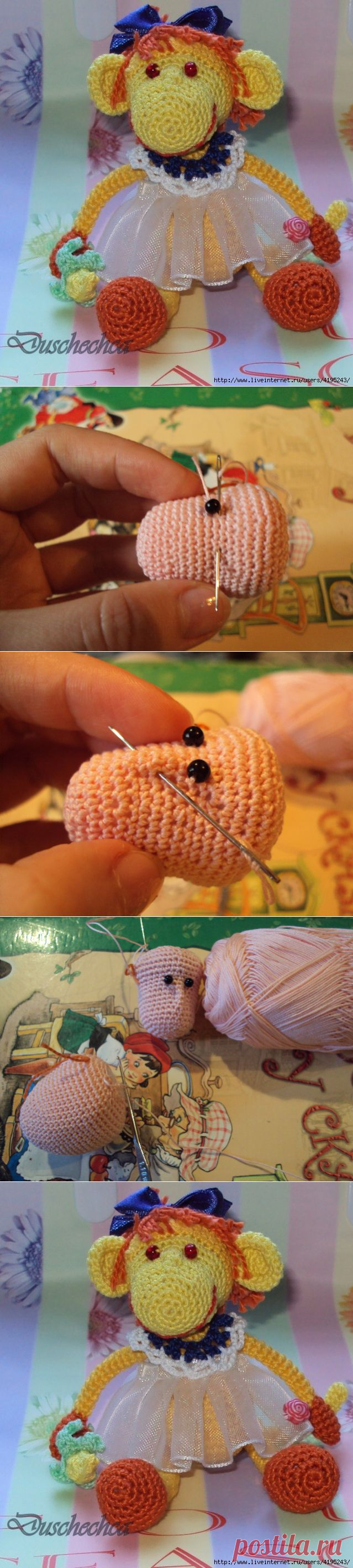 Мартышка Наташка. Описание