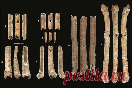 Обнаружены семь древнейших костяных флейт. Археологи обнаружили семь доисторических духовых инструментов возрастом 12 тысяч лет в поселении Айн-Маллаха на территории современного Северного Израиля. «Флейты», сделанные из костей мелких водоплавающих птиц, издают звук, похожий на звук некоторых хищных птиц, таких как ястреб или пустельга.