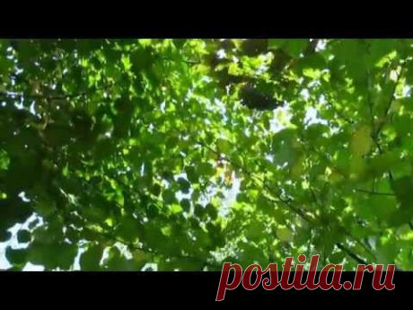 Осенний  пейзаж