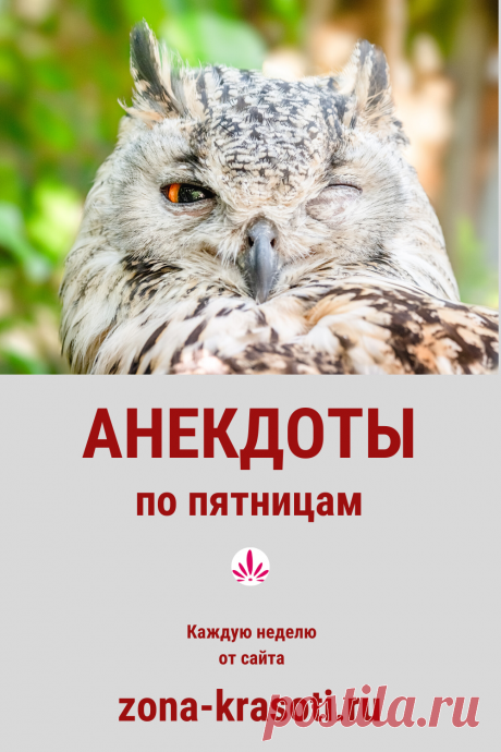 И снова пятница! И как обычно, подборка юмора:

1.Окладистый мужик - это мужик с большим окладом 

2.— Доктор, у меня ужас какие желтые зубы. Можно бесплатный совет? Что мне делать?!.. 
— Ну чтожж? Носите коричневый галстук! 

3.Идет собрание внутренних органов человеческого тела. Во главе мозг. 
Мозг: 
— Что-то нас тут много развелось, тесно стало. Надо кого-нибудь ампутировать. 
Подлая селезенка вылезает и говорит: 
— Давайте легкое удалим. Их у нас два. 
Мозг: 
— Нет, о...