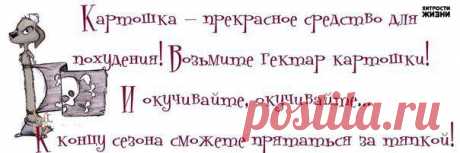 худеем
