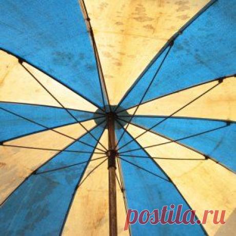 5 идей по использованию старого зонта на даче