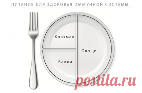 Вот как должна выглядеть ваша тарелка