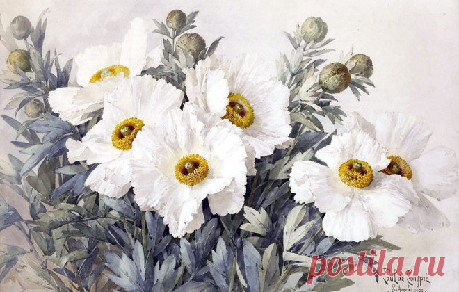 Художник Raoul Maucherat De Longpre.