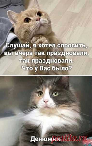 Карикатура