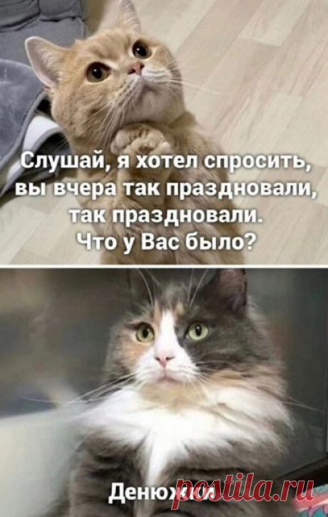 Карикатура