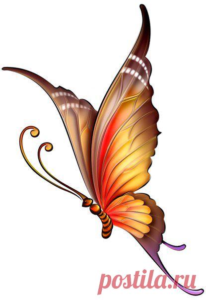 Картинки для творчества | 1 772 фотографии | ВКонтакте