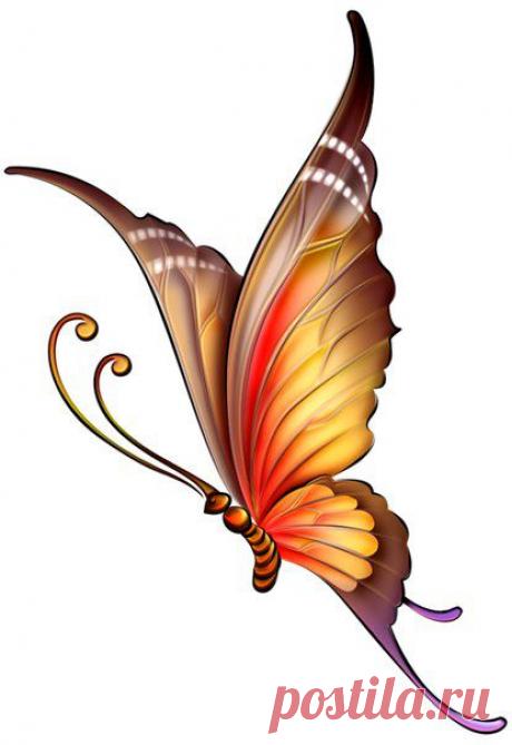 Картинки для творчества | 1 772 фотографии | ВКонтакте