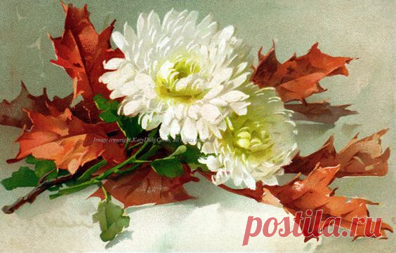 (300) Pinterest • Всемирный каталог идей