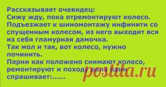 Парень: — 800 руб. Все колеса. Все присутствующие уже еле сдерживаются, чтобы...