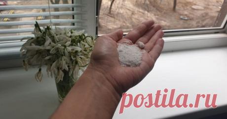 Защитный ритуал с солью - Со Вкусом