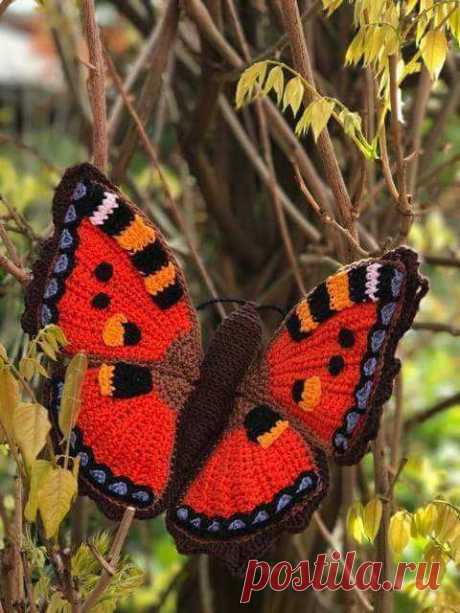 💕 what job is this? I found the pattern of this butterfly in crochet and loved delicate and chamosa see step by step www.crochetyarnstore.com/2017/08/realistic-3d-butterfly-i...