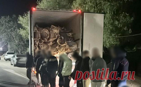 На Украине 16 мужчин попытались сбежать в Молдову в рефрижераторе с мясом. В Одесской области шестнадцать мужчин, планирующих сбежать в Молдавию, нашли в рефрижераторе с мясом.