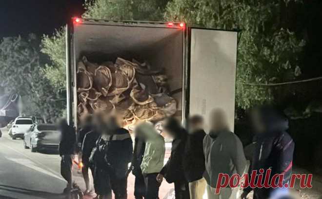 На Украине 16 мужчин попытались сбежать в Молдову в рефрижераторе с мясом. В Одесской области шестнадцать мужчин, планирующих сбежать в Молдавию, нашли в рефрижераторе с мясом.