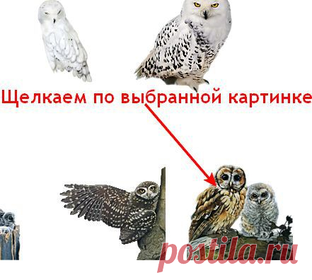 Как просматривать и брать картинки с Яндекс фото в связи с новыми изменениями