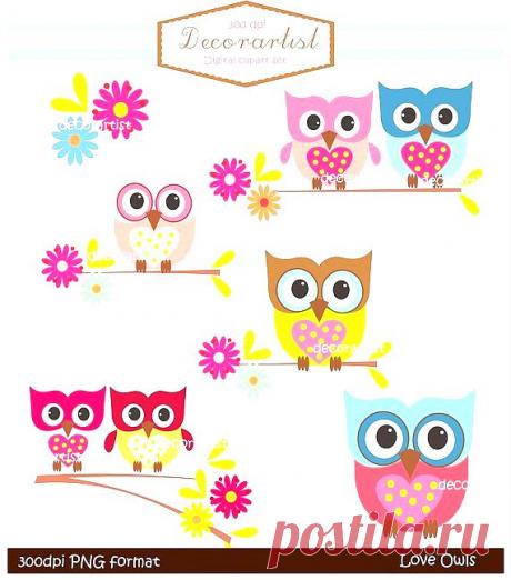 owl clip art, INSTANT DOWNLOAD Digital clip art owls, love owls