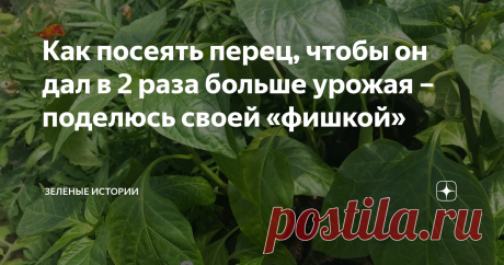 Как посеять перец, чтобы он дал в 2 раза больше урожая – поделюсь своей «фишкой» Наступает благоприятное время для посева сладкого и острого перца. И тут очень важно всё сделать правильно. Это обеспечит богатый урожай. В статье я поделюсь своей «фишкой», благодаря которой мне удается получать в 2 раза больше урожая, чем с кустов того же сорта, но посеянных иным образом. Этот метод попробовали уже все мои друзья, родственники и знакомые. И все подтверждают, что он работает ...
