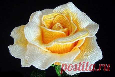 #ПервыйТворческий 
Шикарные розы из бисера