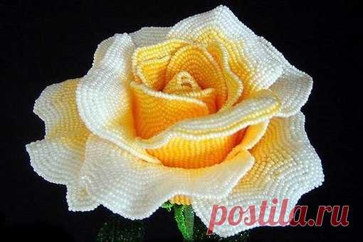 #ПервыйТворческий 
Шикарные розы из бисера