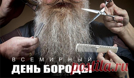 Бородачам шлю поздравление свое,
Пусть будет мягкой борода – как шелк!